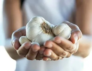 Pankreasa sarımsak