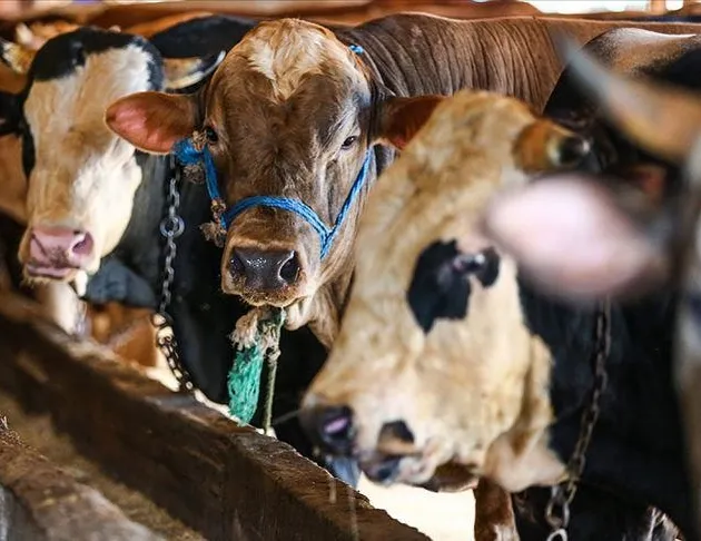 Vekalete kurban 11 bin 750 TL