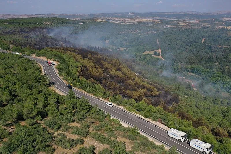 Balıkesir'de orman yangını: Kontrol altına alındı!-3