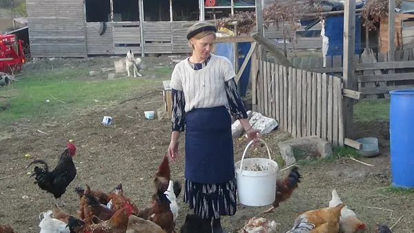 amerikali-cift-2-yil-once-canakkale-bayramice-yerlesti-tarimla-ugrasiyor-1607065628636.jpg Amerika'dan 2 yıl önce gelen çift Çanakkale'ye yerleşti ve kendini tarıma verdi - 4