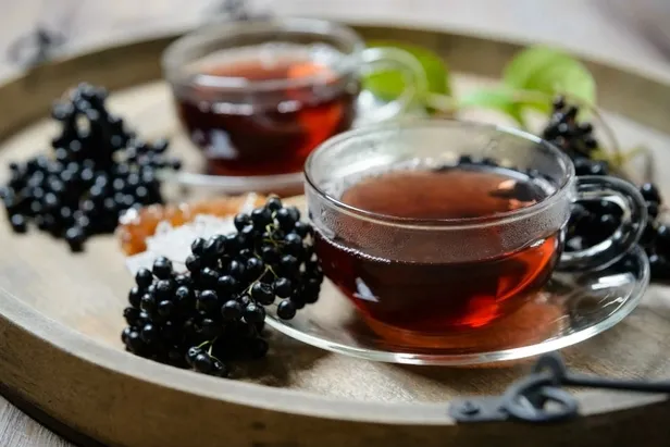 Kara Mürver çayı neye iyi gelir, nasıl yapılır? Kara Mürver çayı faydaları neler?-2