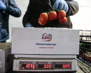 PTT tanzim satışlara İstanbulda da başladı