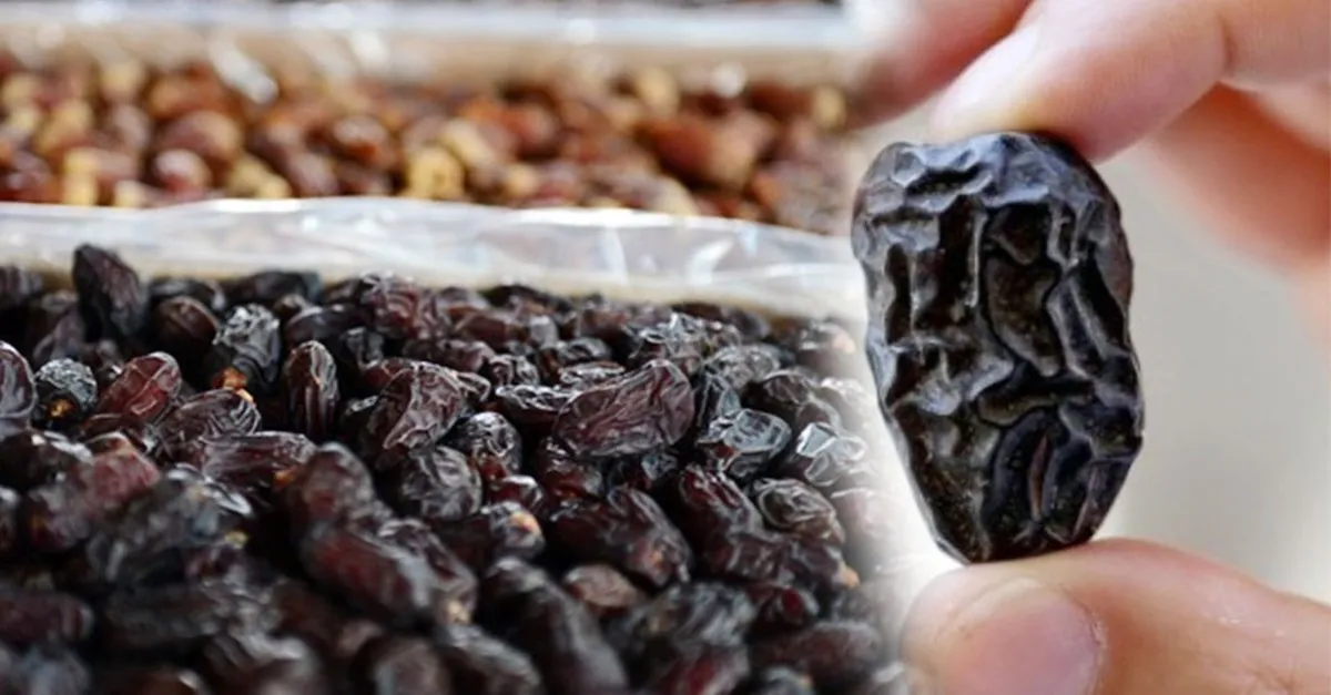 ilk agacini hz muhammed in diktigi