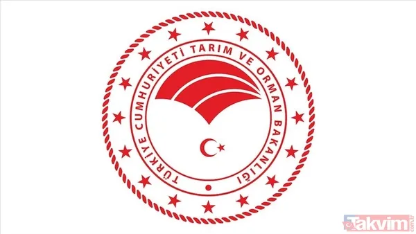 Tarım ve Orman Bakanlığı 200 PERSONEL ALIMI: Sözleşmeli personel alımı başvurusu ne zaman, nasıl, hangi branşlarda yapılacak? - 6