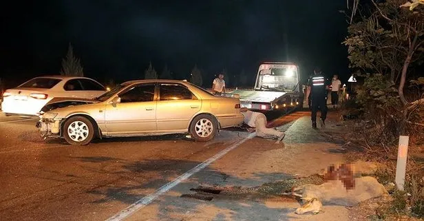 Son dakika: Manisa’da iki otomobil koyun sürücüne daldı: 7 yaralı, 15 koyun öldü