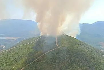 İzmir’de orman yangını!