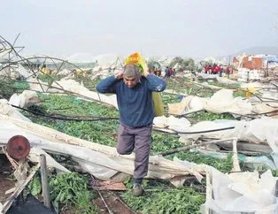 Hükümet mağdur çiftçinin yanında