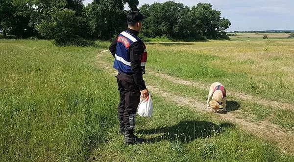 kesik-bas-cinayetinde-caninin-kan-donduran-ifadesi-onun-anneler-gununu-ormanda-kutlayacagiz-1609315769067.jpg Kesik baş cinayetinde caninin kan donduran ifadesi Onun Anneler Günü'nü ormanda kutlayacağız-6