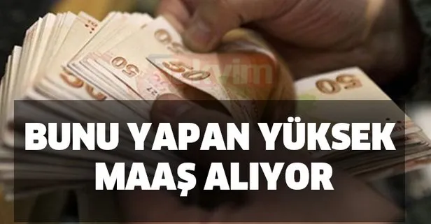 Bunu yapan yüksek maaş alıyor