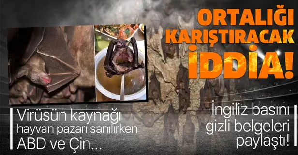 Koronavirüsle ilgili gizli belgeler ortaya çıktı! ABD ve Çin’in finanse ettiği deneyler…