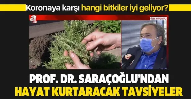Prof. Dr. İbrahim Saraçoğlu, koronavirüsten korunmak için kekik, nane, adaçayı ve karabaş otunun nasıl kullanılması gerektiğini anlattı