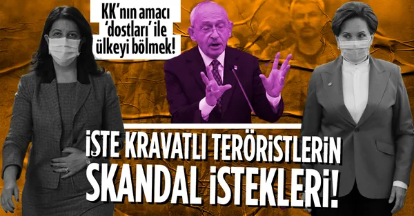 "Kürt sorunu" tartışmasında son perde! CHP ve İYİ Parti HDP'nin bölünme talebine meşru dedi! İşte HDP'nin skandal istekleri-1