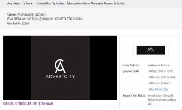 CHP'li İBB yönetimi İstanbul'da üst geçitleri yeni kurulan özel bir şirkete kiraya verdi-3