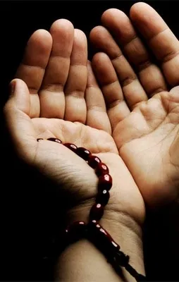 Kâinat nurla doldu onun doğduğu gece…