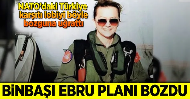 Ebru harekatı