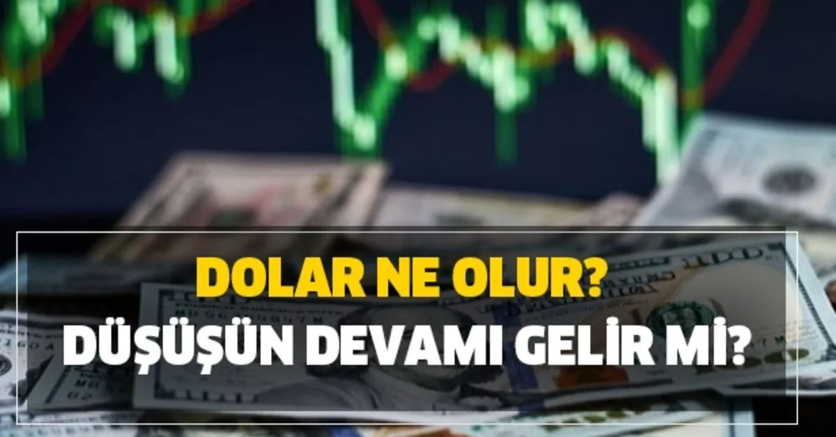 13 nisan dolar tl ve euro alis satis ne