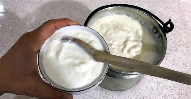 Yoğurt şifa deposu