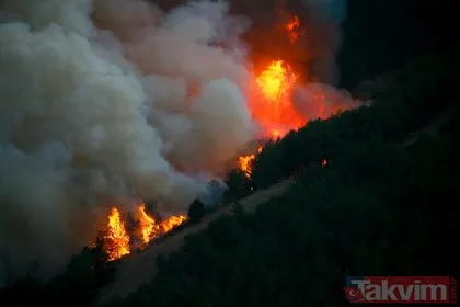 İzmir’de gergin bekleyiş! Karabağlar’daki orman yangını iki mahalleye yaklaştı