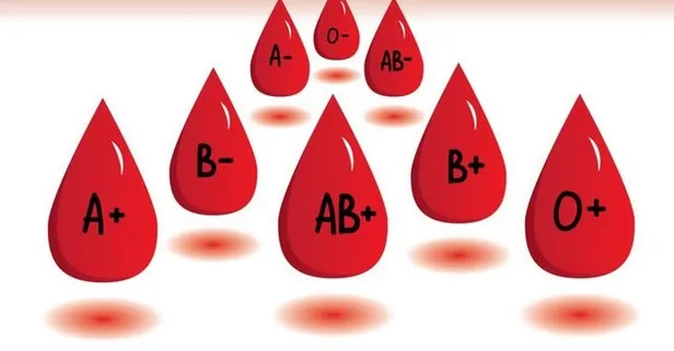 Bilim insanları açıkladı: Kan grubunuz IQ seviyenizi ortaya çıkarıyor! A+, A−, B+, B− grubundakiler...