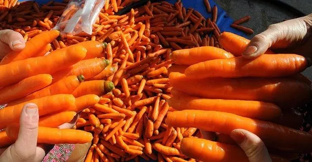 A vitamini deposu havuç şifa dağıtıyor!