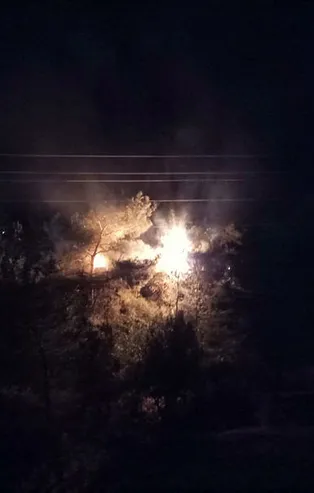 İzmir'de ormanlık alanda korkutan yangın