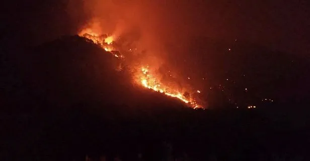 İşte yangınlardaki son durum! Tarım ve Orman Bakanı Bekir Pakdemirli açıkladı
