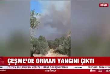 Çeşme'de orman yangını!