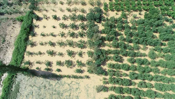 Bursa'daki sel sonrası korkutan uyarı: Süper hücre geliyor!-2