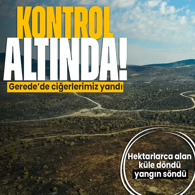 Ankarada başladı Boluya sıçradı! Gerededeki orman yangını kontrol altına alındı