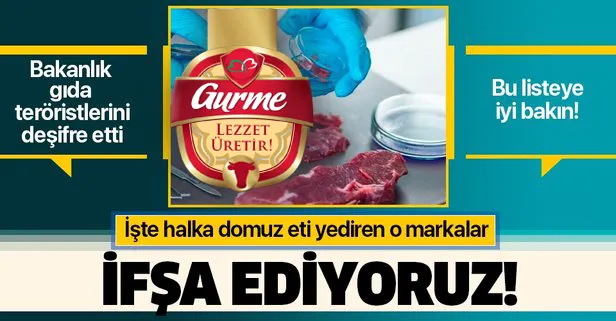 Bakanlık gıda teröristlerini afişe etti! İşte halka domuz eti yediren o markalar