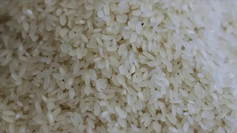 aylarca-boceklenmeden-duracak-pirincinizin-boceklenmemesi-icin-1-2-tane-atmak-yeterli-1717865594229.jpg