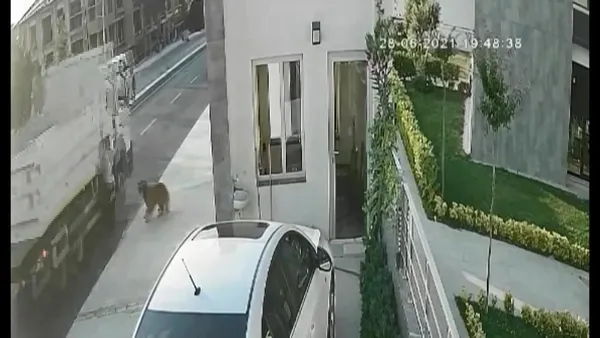 havlayan-kopekten-kacarken-hizla-ilerleyen-kamyon-carpti-1625045842061.jpg Havlayan köpekten kaçarken hızla ilerleyen kamyon çarptı-6