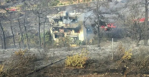 İzmir’de orman yangını! Alevler evlere sıçradı