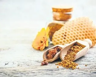 KOAH’ın ilacı propolis