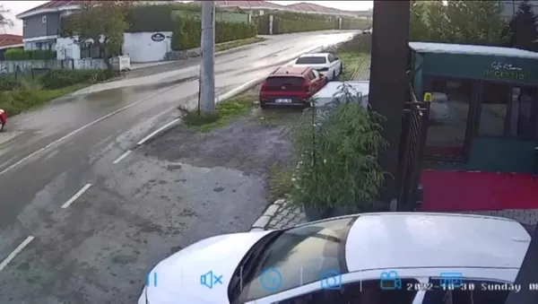 sana-aynisini-yapsalar-nasil-olur-sakarya-sapancada-sokak-kopegini-otomobiliyle-ezdi-1667318919150.jpg Sana aynısını yapsalar nasıl olur? Sakarya Sapanca'da sokak köpeğini otomobiliyle ezdi-5