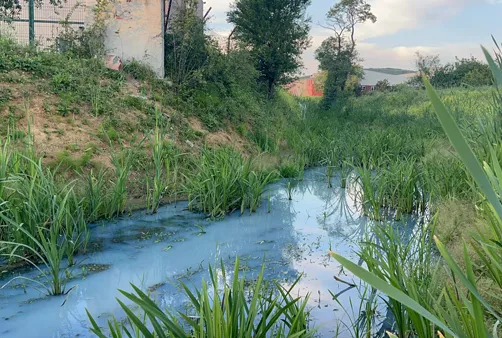 Alibeyköy Barajı’na dökülen derenin rengi maviye döndü