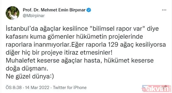 İBB'nin ağaç katliamı karşısında kafasını kuma gömenlere tepki! "Muhalefet keserse ağaçlar hasta, hükümet keserse doğa düşmanı..." - 4