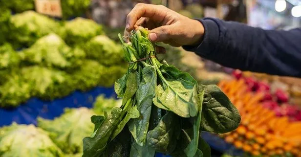 Kemiklere pazı yeter