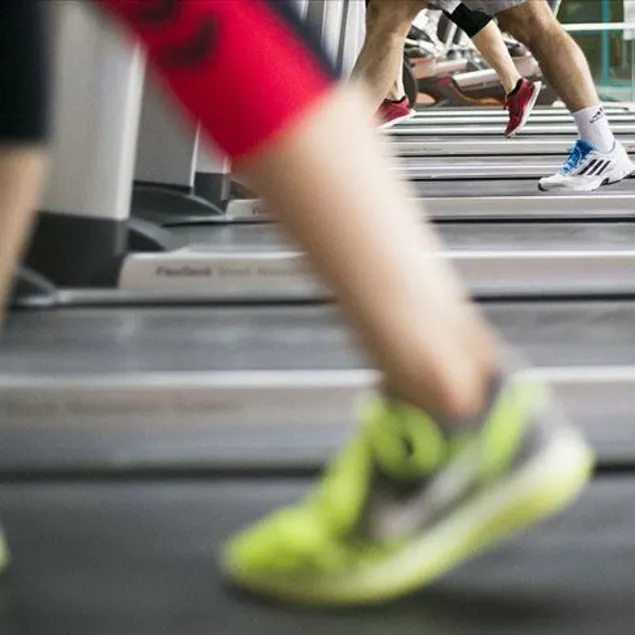 Aklın yolu egzersiz