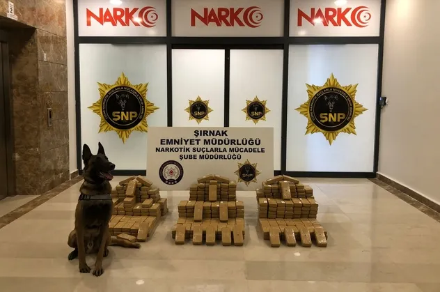 Şırnak’ta bölücü terör örgütü PKK'ya düzenlenen operasyonda 209 kilogram eroin ele geçirildi