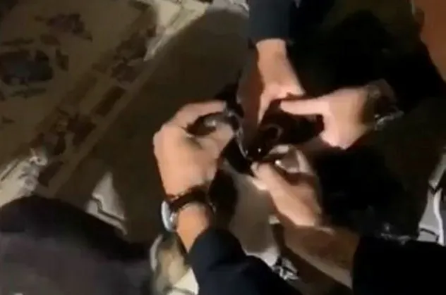 Bursa'da rezalet görüntü! Köpeğe alkollü işkence