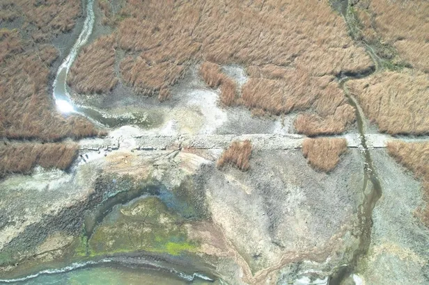 1679355063911.jpeg İnşaat şirketi sahibi kadın, ortağı tarafından kurşunlandı-7