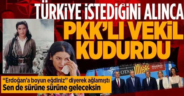 PKK’lı vekil Amineh Kakabaveh İsveç’te kudurdu! Türkiye istediğini alınca kriz çıkardı