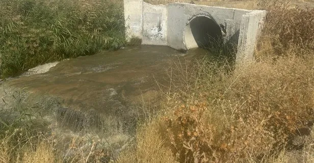 DEM’li belediyeden ’Van Gölü’ne kaçak deşarj! Bakanlık milyonluk ceza kesti