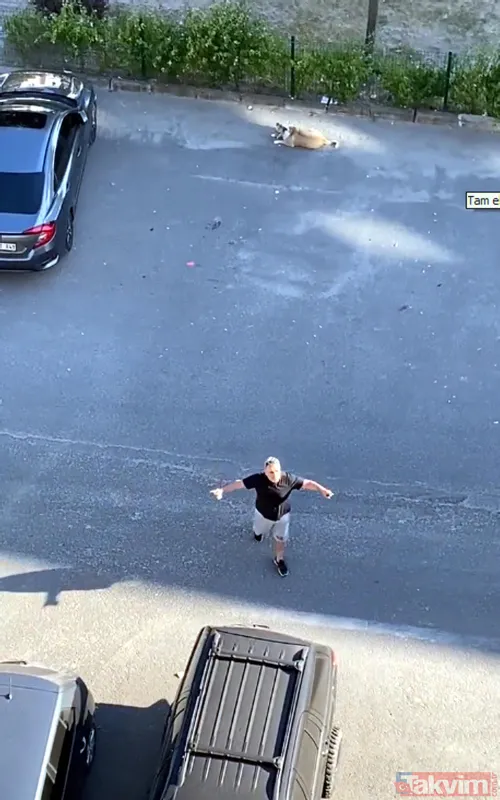 'Daire 16' sözleriyle gündem oldu! Köpük yerinde kalacak - 17