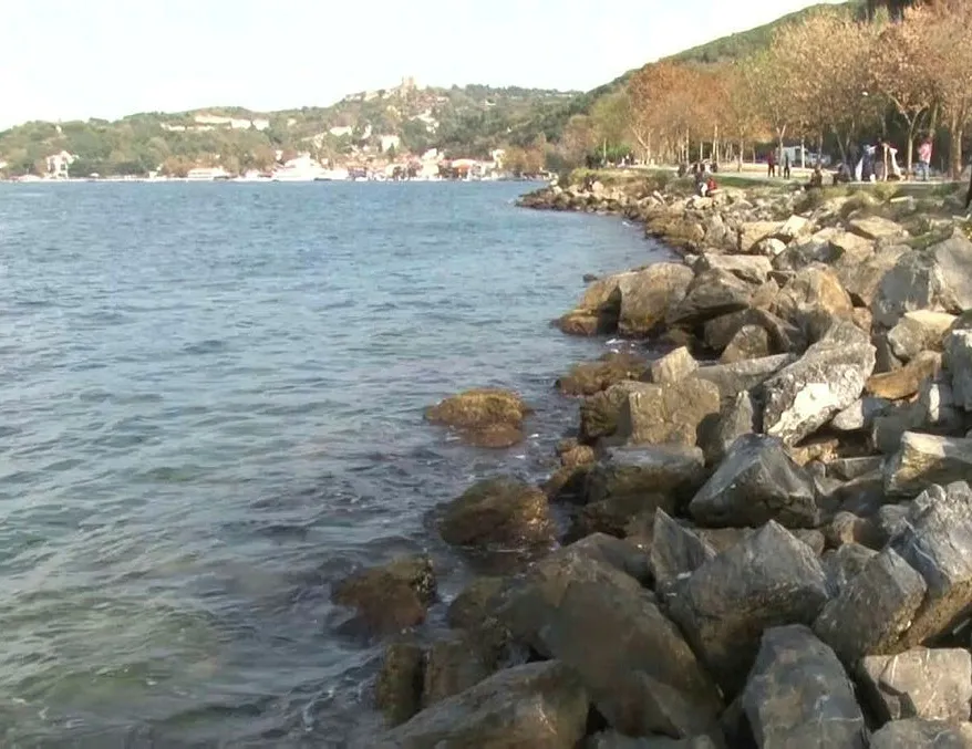 Tedirgin eden görüntü! Bir anda 80 cm çekildi!