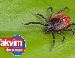 Rüyada kene görmek ne anlama gelir? Rüyada kene yapıştığını görmek neye işarettir? Rüyada kene ısırmasının anlamı nedir?