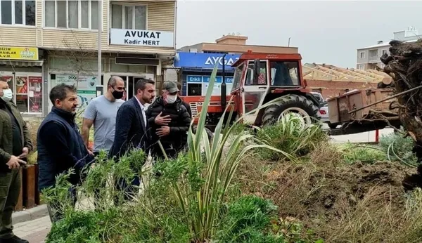 siddetli-lodos-bursa-kestelde-270-yillik-cinar-agacini-kokunden-soktu-1638176770266.jpg Şiddetli lodos Bursa Kestel'de 270 yıllık çınar ağacını kökünden söktü-8