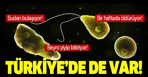 Koronavirüsten sonra bir haftada öldüren yeni virüs! Türkiye’de de var!