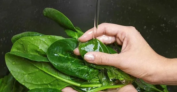 Zehirli ıspanak vakalarının sayısı artıyor! Bakanlık, ıspanağın içine karışan otların zehirlediğini açıkladı